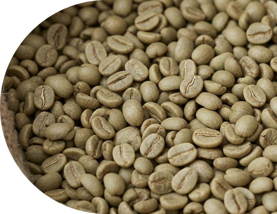Raw green coffee beans from Colombia