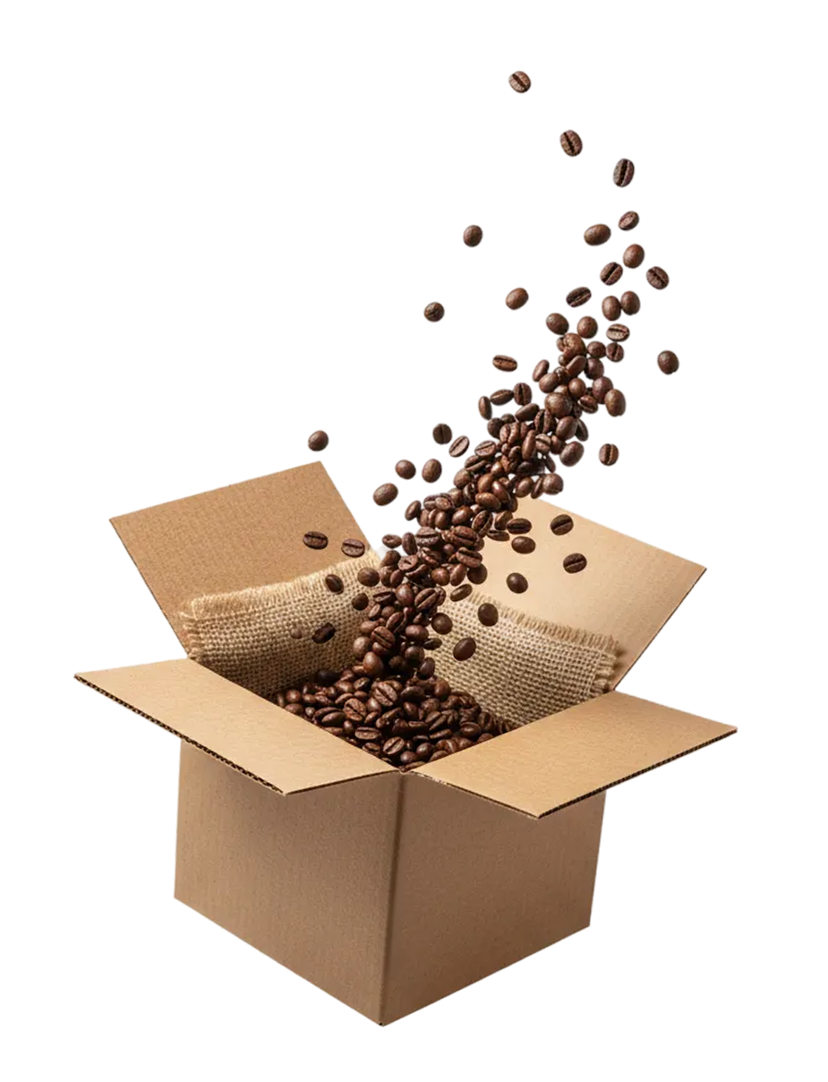 Fresh roasted coffee beans