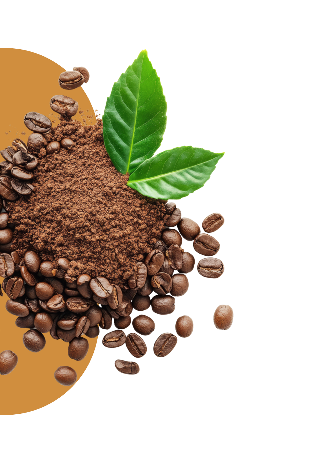 Coffee cup with beans on wooden surface